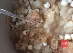 Illustration of how to make Tremella and Lotus Seed Soup 8