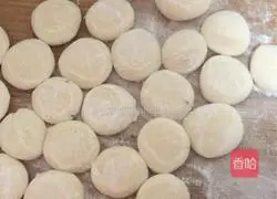 Shepherd's purse dumplings? Recipe 4