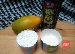 Coconut Mango Sago Recipe Illustration 1