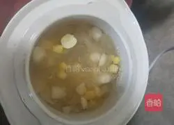 Illustration of Tremella Pitaya Soup 7