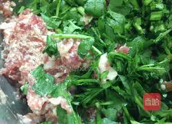 Illustration of how to make watercress and pork dumplings 5