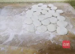 Illustration of how to make fresh meat prawn dumplings 18