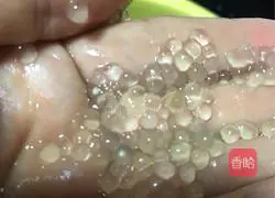 Illustration of how to make coconut milk sago and taro balls 2