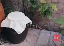 Illustration of how to make bayberry wine 8