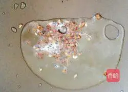 Illustration of how to make fried shredded potatoes 6