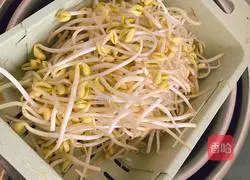 Illustration of how to make steamed braised noodles with soybean sprouts and beans 4