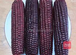 Illustration of how to make black corn and rose milk drink 1