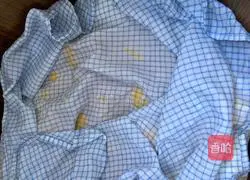 Illustration of homemade fermented bean curd 10