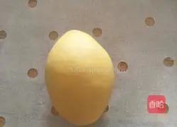 Lemon Packet Recipe Illustration 6