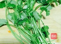 Sheep Illustration of how to make soup 7