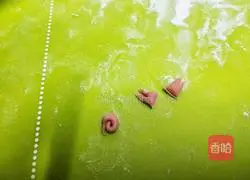 Illustration of Northeastern Rye Steamed Buns 18