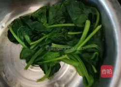 Spinach Lamb soup recipe 3