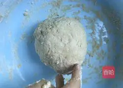 Illustration of whole wheat egg hand-rolled noodles 3