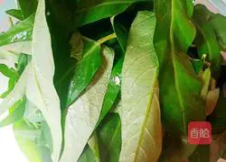 Vegetable egg pancake recipe 1