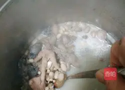 Illustration of how to make eyebrow bean, peanut, chicken feet and river clam soup 6