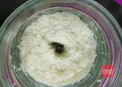 Illustration of how to make sweet glutinous rice wine 4