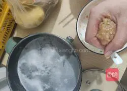 Winter Melon Meatball Soup (Boiled Meatballs) Recipe Illustration 10