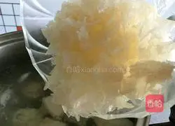 Sydney Lily Tremella Nourishing Lung Decoction Illustration 7