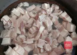 Illustration of how to make braised pork 2