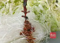 Illustration of how to stir-fry vermicelli with cabbage 4