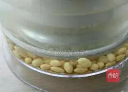 Illustration of how to make homemade soy milk 6