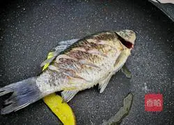 Illustration of how to make crucian carp tofu soup 2