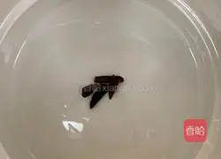 Illustration of how to make black-bone chicken stewed with anhydrous Korean ginseng (Minnan dripping soup) 3