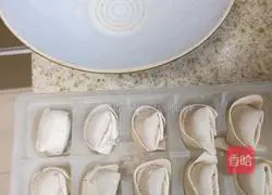 How to cook frozen wontons 2