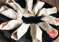 Illustration of how to make carrot and beef pot stickers 16