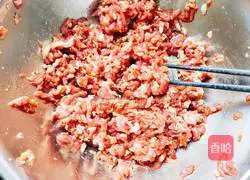 Illustration of how to make vegetable and meat wontons 6