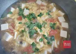 Tomato and tofu mushrooms Mushroom soup recipe 15