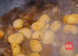 Illustration of braised beef ribs with chestnuts 4