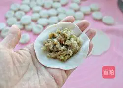 Illustration of how to make pork and sauerkraut dumplings 9