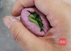 Illustration of how to make meaty steamed buns 5