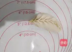 Illustration of how to make fried dumplings with fresh vegetables and eggs 11