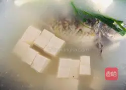 Milk white crucian carp soup Practice illustration 4