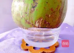 Recipe for papaya, bigfoot, coconut milk and duck soup Illustration 15