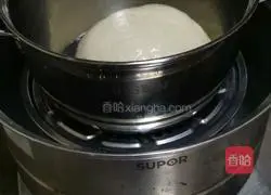 Illustration of proofing noodles 8