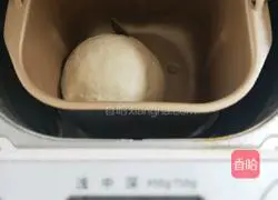 Illustration of how to make hedgehog bean paste buns 4