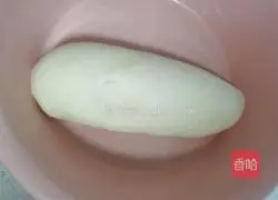 Illustration of how to make steamed buns with vegetarian filling 1