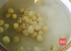 Papaya and Tremella Soup Recipe Illustration 6