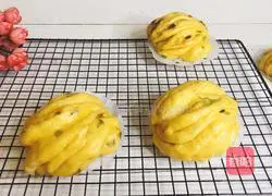 Illustration of how to make pumpkin chive rolls 19