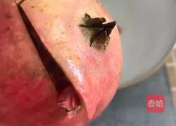 Illustration of how to make pomegranate juice 2