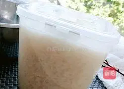 Illustration of homemade fermented rice 18