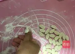 Illustration of how to rub Castanopsis by hand 5