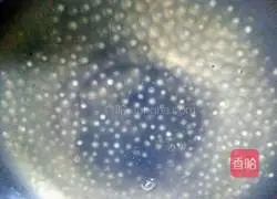 Mango milk sago recipe illustration 3