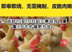 Cantonese Crispy Roast Chicken Recipe 1