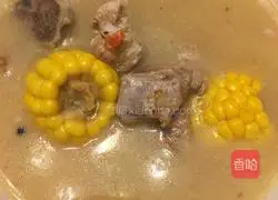 Corn spareribs soup recipe 14