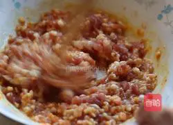 Canadian Arctic Shrimp and Meat Wonton Recipe Illustration 4