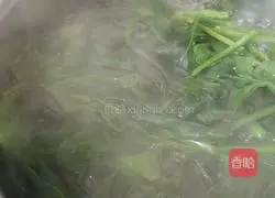 Illustration 5 of how to make delicious and cheap pasta with homemade basil sauce